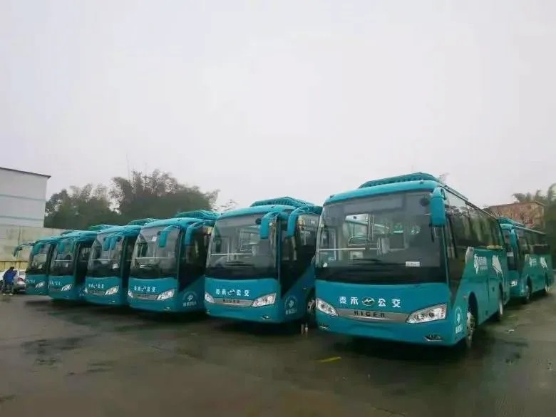 惠民公交！1月12日钦州东站开通到小董镇的公交车正式运营