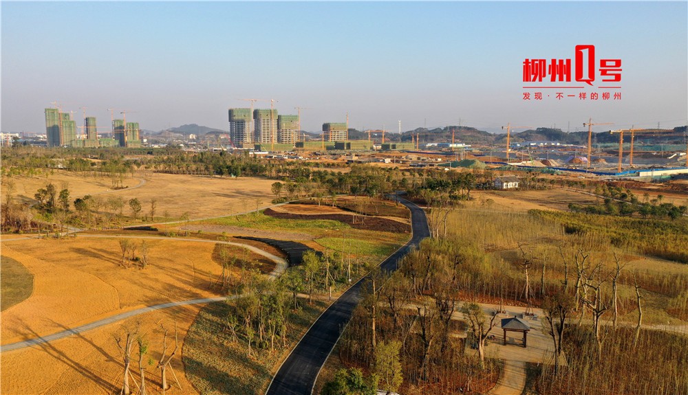 北部生态新区湿地公园一期完工,亭台,拱桥,水景……美不胜收