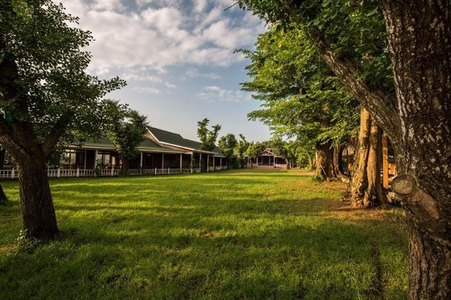 1655133971314.jpg 1655133971314.jpg