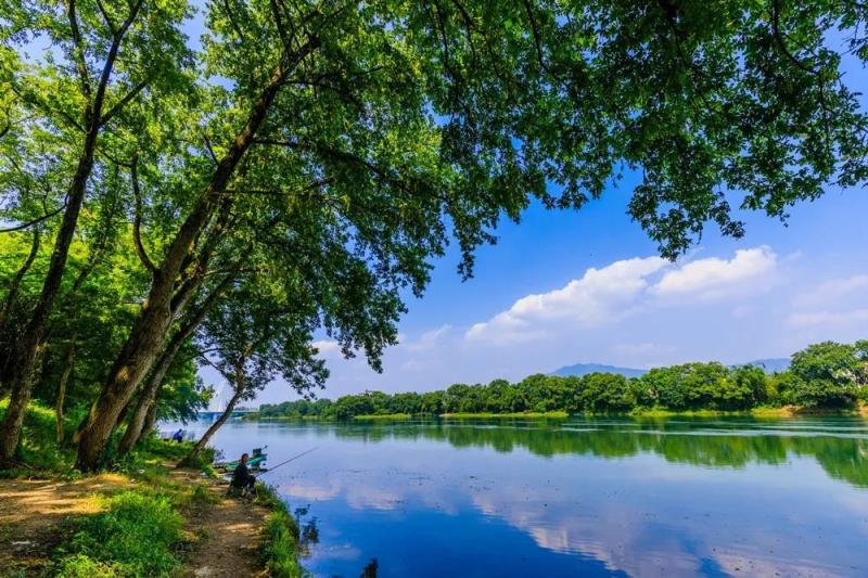 1718431655277.jpg 1718431655277.jpg