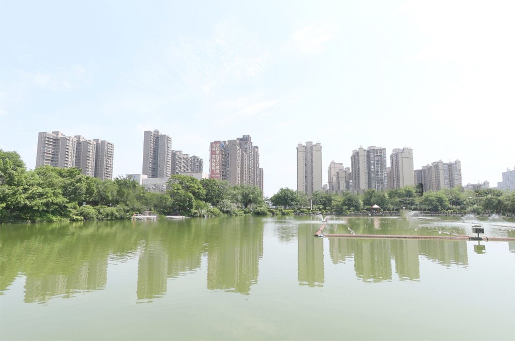 广西塑造美丽宜居城乡环境，将推进“公园城市”建设