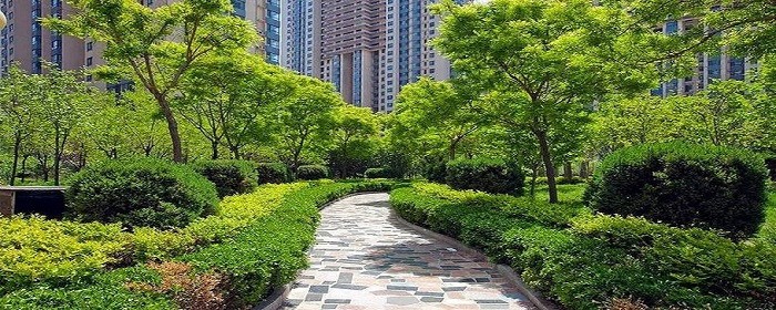 小区绿化率对居住有什么影响