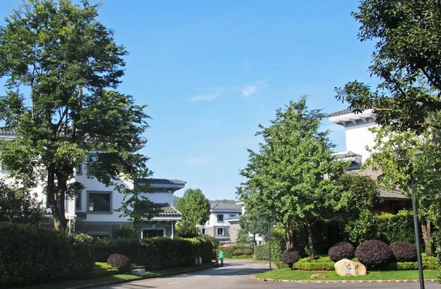 水墨中国丨我家住公园 四季花海