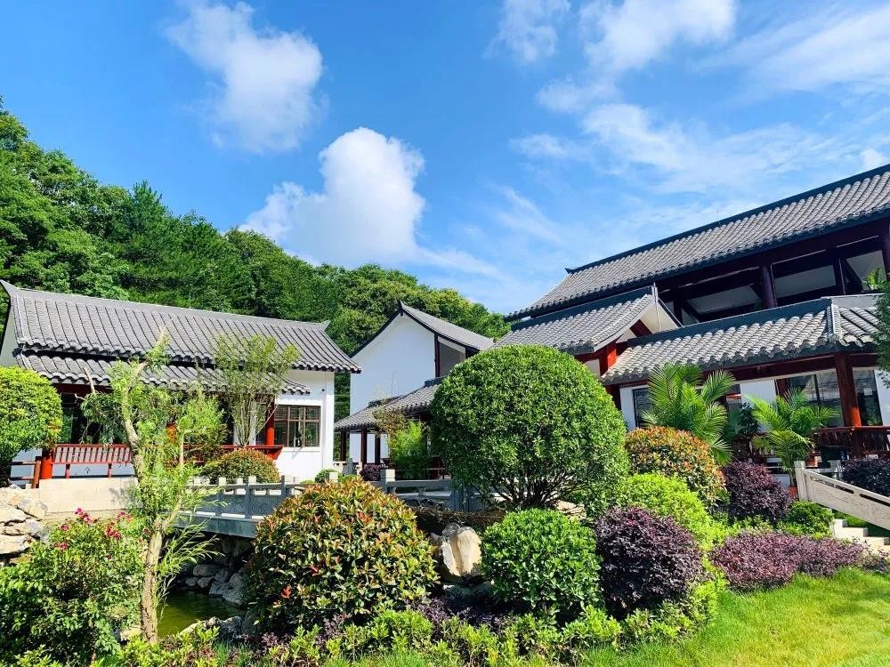 自带清凉因子,实力避暑,广元曾家山原乡这个楼盘惹人爱!