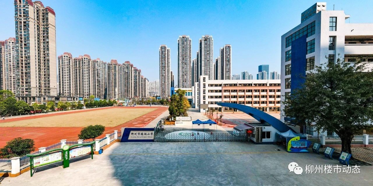 柳州市德润小学图片图片