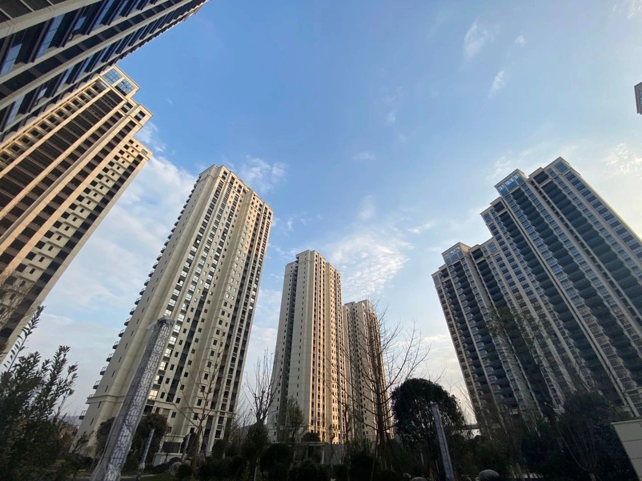 苍溪楠洋都汇