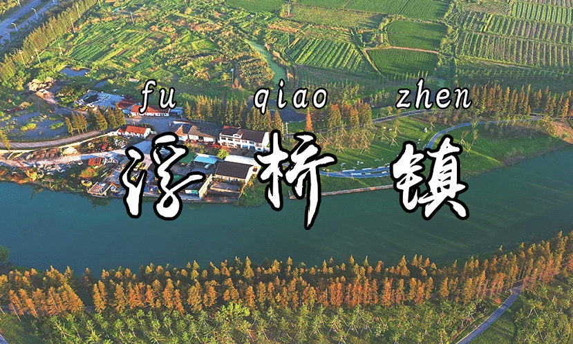 浮桥镇,实力担当