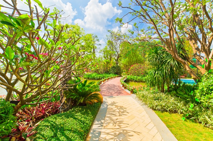 恒大华府万物萌生是谁打翻了春天的调色盘