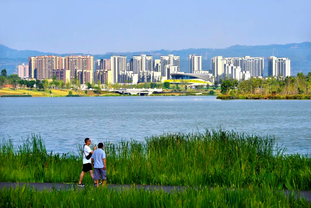 关注！天府新区“智慧城市”正在加速前进,这些成就你该了解