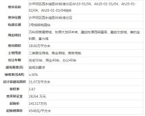 重庆“两集中”土拍下午场：招商32.5亿元摘得西永280亩地，楼面价10460元/㎡，溢价率129.98%