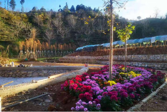 保山市昌宁县温泉镇小兔河半山茶泉酒店康养项目