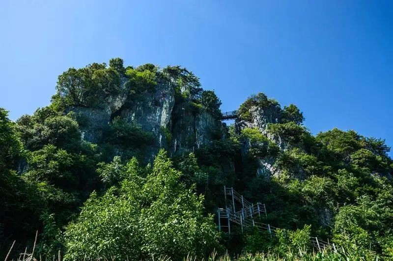 週末就是母親節啦帶媽媽一起到康養曾家山度過美好週末吧