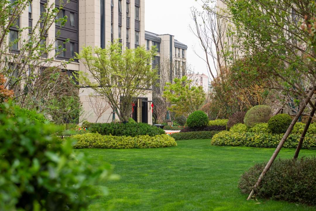 楚河金茂府实景图