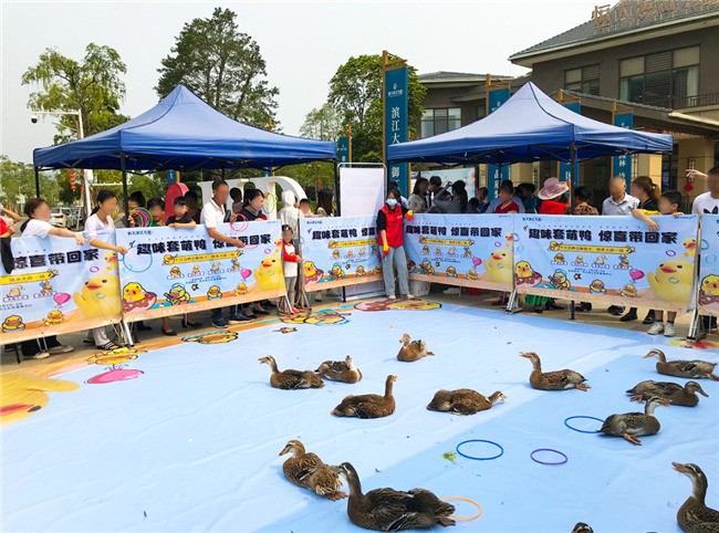 恒大学府"小黄鸭大冒险"让你乘兴而来,尽兴而归,这个周末燥起来!