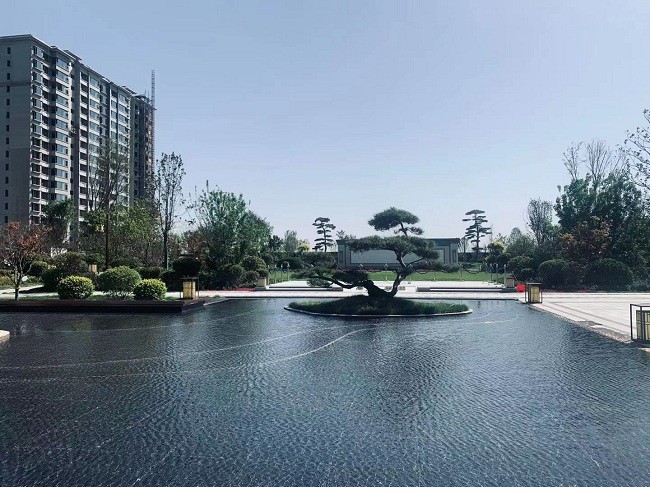 运城湟栋公园里 | 园林示范区6月5日盛大开放!