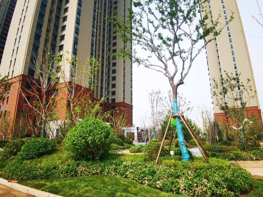 【荣科锦苑】六月工程进度播报!-邯郸楼盘网