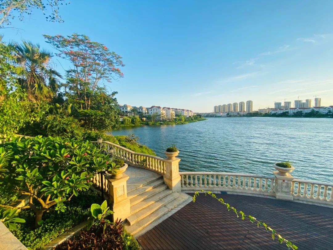 晋江阳光城 全新藏品 众望上线