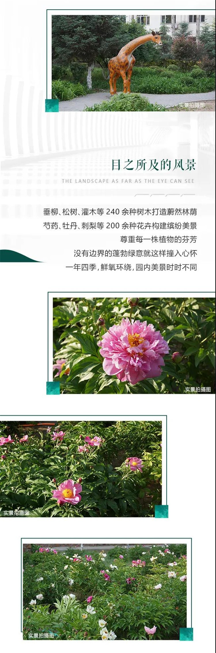 0832337426595.jpg