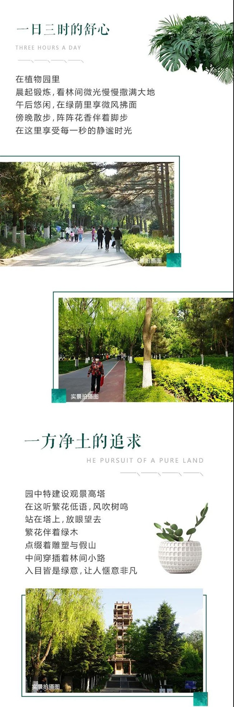 0832337426595.jpg