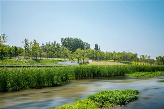 新郑市潮河湿地公园图片