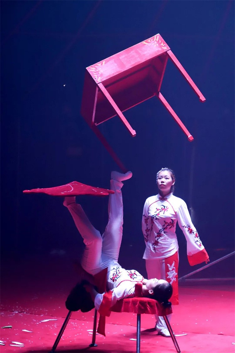 盛况空前安居颐合悦府惊天杂技魔术秀精彩落幕
