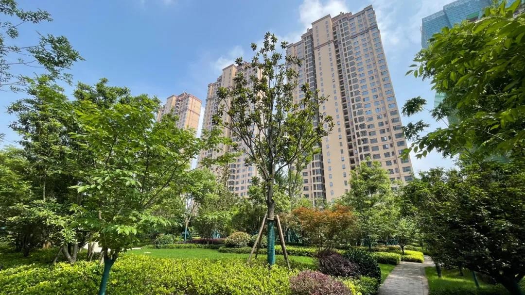 湘潭星合世家是精妆房吗学校配套怎么样