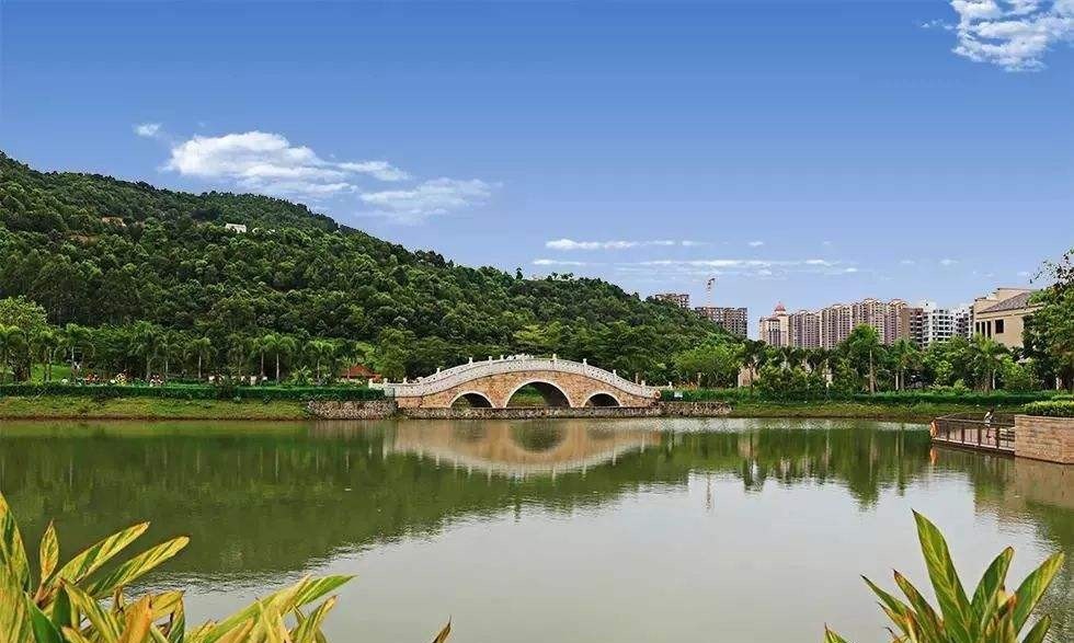 红树林公园,亚公顶森林公园,大亚湾儿童公园,聚龙山湿地公园)生活配套