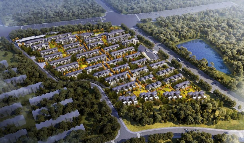 泰安国悦山好不好_国悦山价格多少