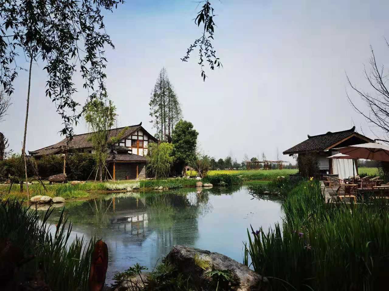 大邑县董场镇祥和村组29号,周边学校合林小学;大邑县沙渠镇第二幼儿园