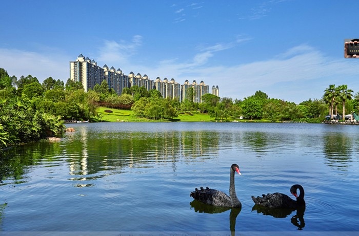 恒大华府让美好的生活在华府中尽情绽放