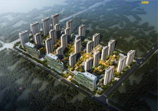 杭州湾新区碧桂园海上风华火的一塌糊涂!了解背后原因以及详情!