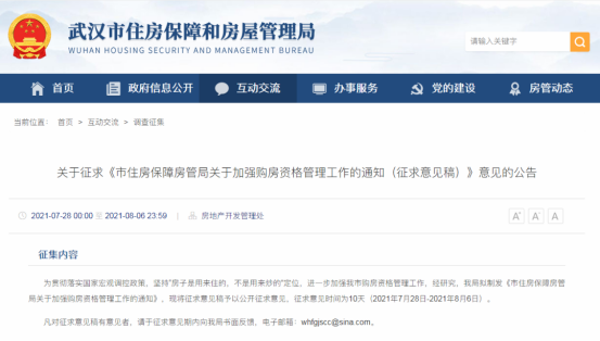武汉7月28日提出的调控新政截图