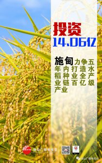 计划投资14.06亿！施甸力争5年内打造水稻种业全产业链百亿级产业