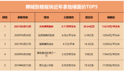 29亿摘地首入佛山 大华拿地决心的背后