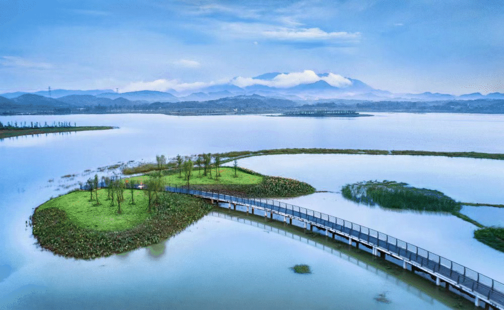 家门口的公园——浔南森林公园即将升级改造!