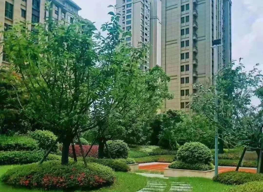 中辉·半山墅|一院一世界,一墅一圈层-九江楼盘网