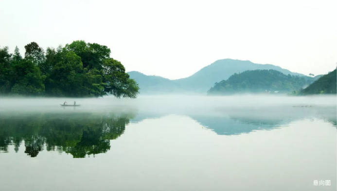 凤樾府售楼处地址在哪里