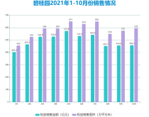 前10月销售4941亿 碧桂园业绩微减与外拓减缓