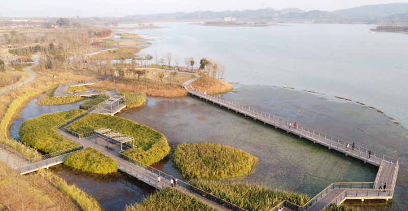 芳兰湖湿地公园成九江市民热门打卡地!