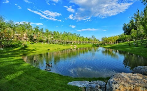 孫河板塊內規劃建設10萬平米湖景公園及4.