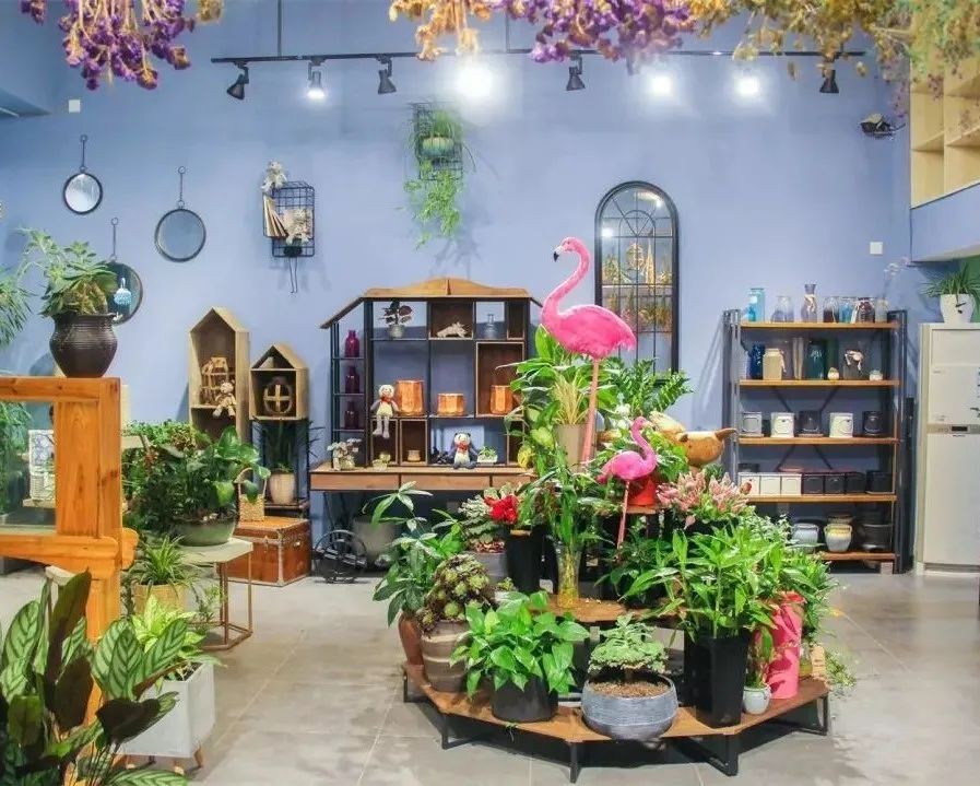 花店的文艺艺术