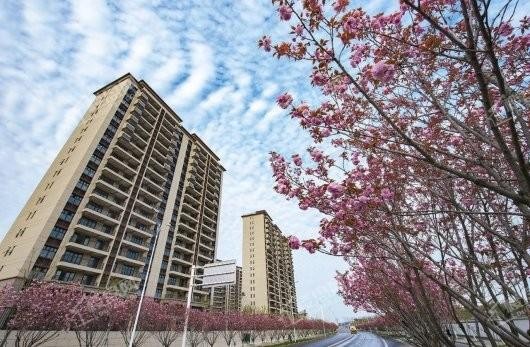 句容碧桂园柏悦华府哪种户型最好?值得购买吗?-句容楼盘网