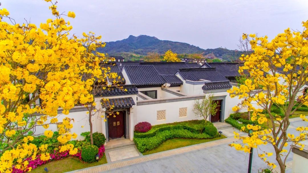 巴伐利亚庄园梧竹幽居 | 存心养性,中式合院,如康安养!-河源楼盘网