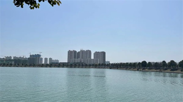 常德柳湖印图片