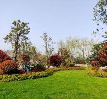 洄湖水乡 | 一方庭院，藏着时光里的浪漫！