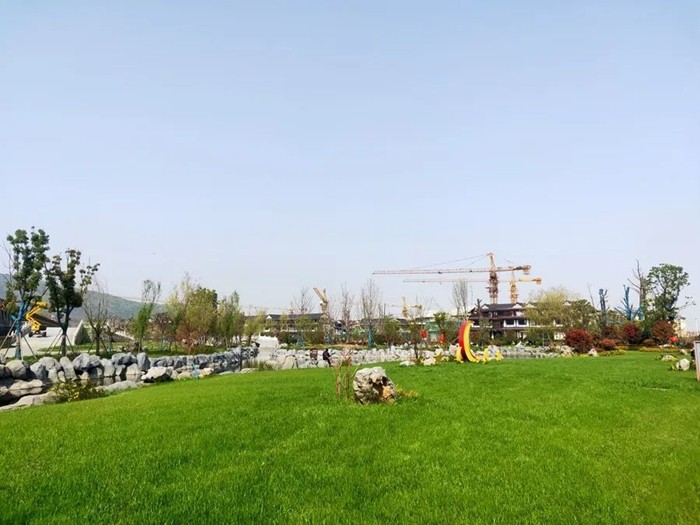 0943092692475.jpg 5.jpg