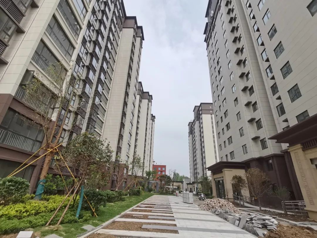 家期已至 静候归家 | 翰林学府三期交付在即!