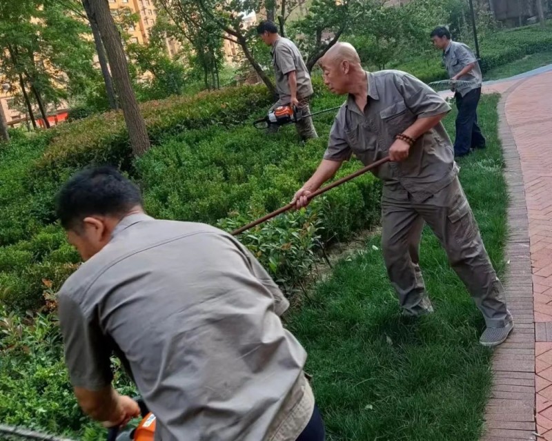 天茂城内景图