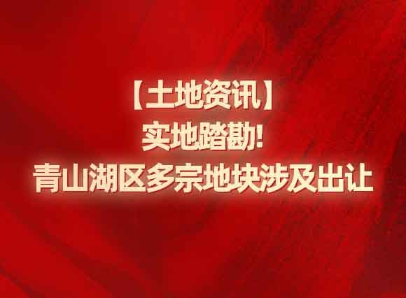 【土地资讯】实地勘探!青山湖区多宗地块涉及出让