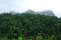 万科青岛小镇 | 滨海城芯小珠山，万科十年纯墅区